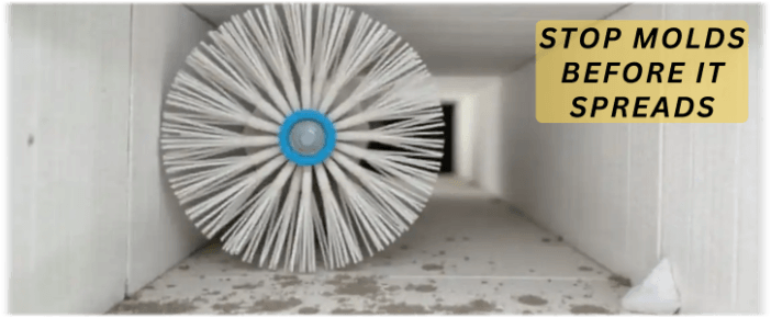 Air Duct Mold Removal in Alpharetta