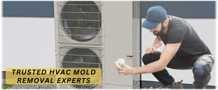 HVAC Mold Removal Alpharetta